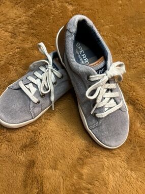 Sperry Light Gray Canvas Low-Top Sneaker